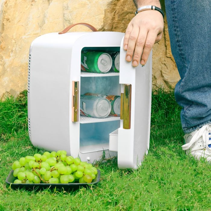 یخچال مسافرتی جیپاس 10 لیتر مدل GRF63052